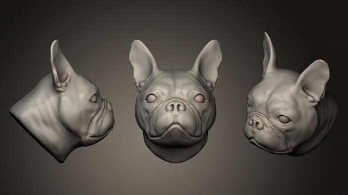Masks and muzzles of animals (MSKJ_0152) 3D model for CNC machine